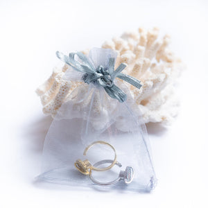 Planet spinning anxiety rings for women in silver and gold in an organza bag