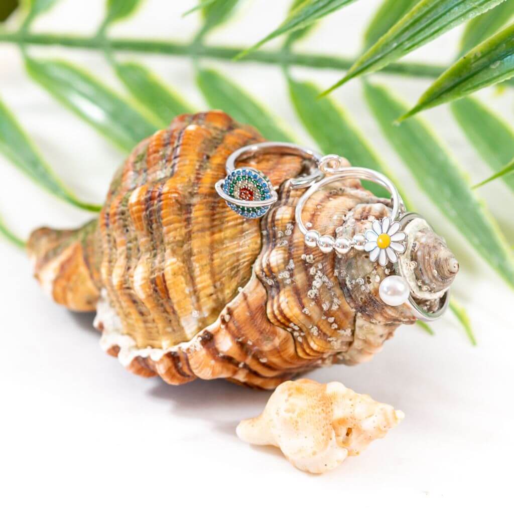 Soothing bundle of 3 women's spinning rings on a shell with a palm leaf background