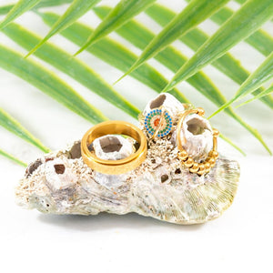 Grounding pack bundle of three gold anxiety rings on a shell with palm leaf background