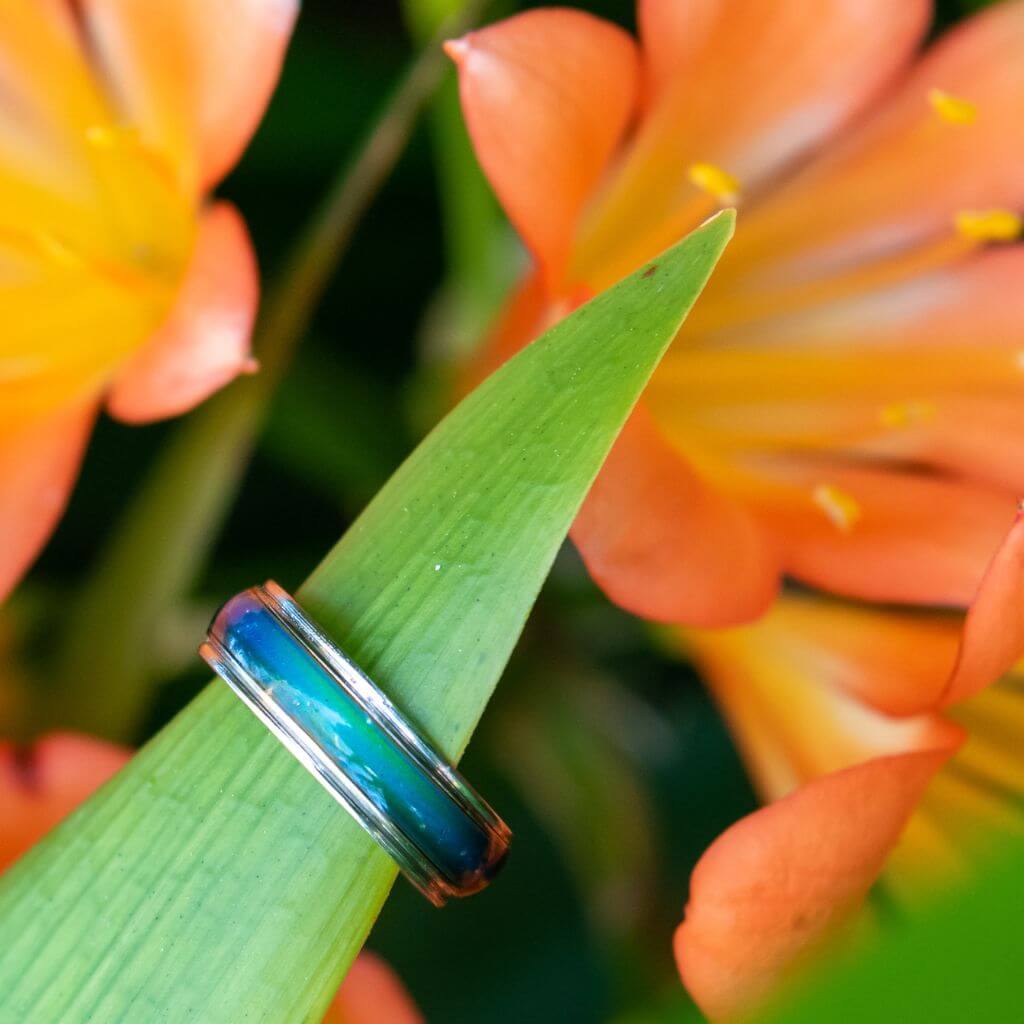 Mood rings on white background