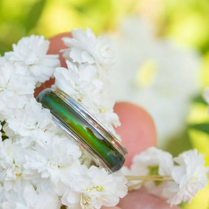 Mood ring colour green on white flower